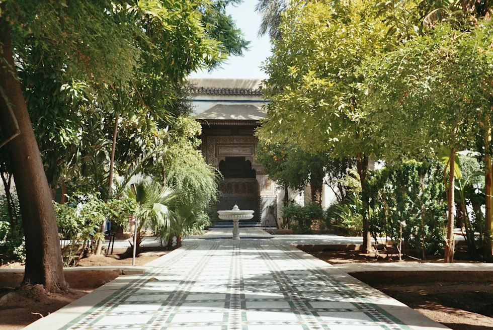 tile path lined by trees during daytime