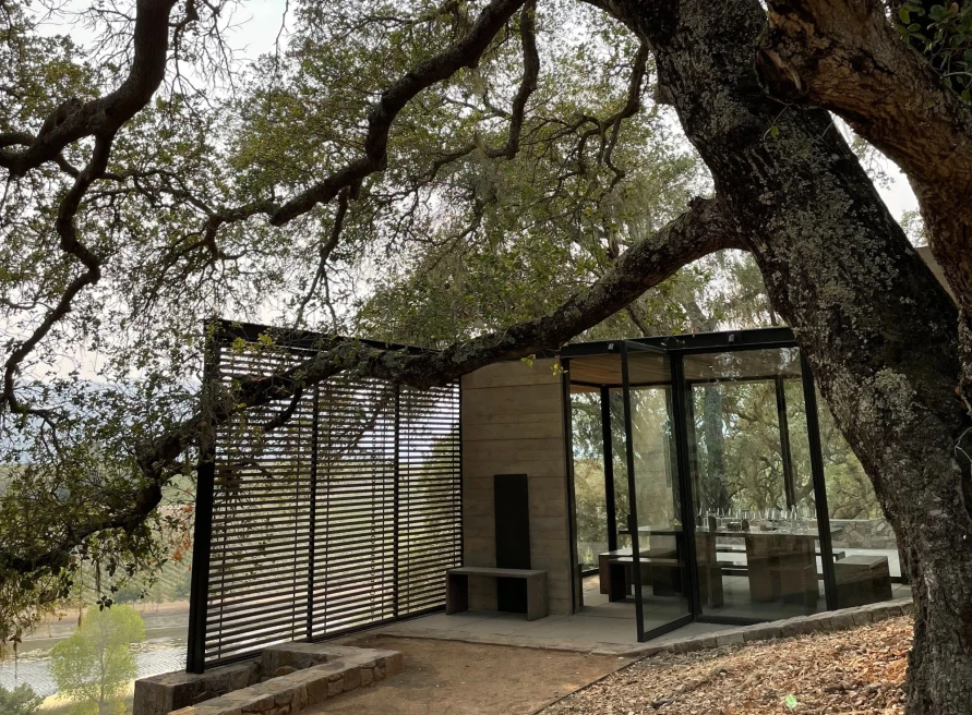 trees over contemporary indoor/outdoor structure