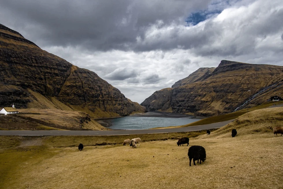 a small white church next to a calm lake within mountain range with sheep grazing in the grass in the foreground on an overcast day