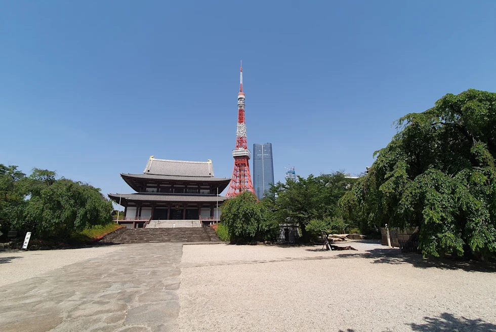 A high tower behind the greenery
