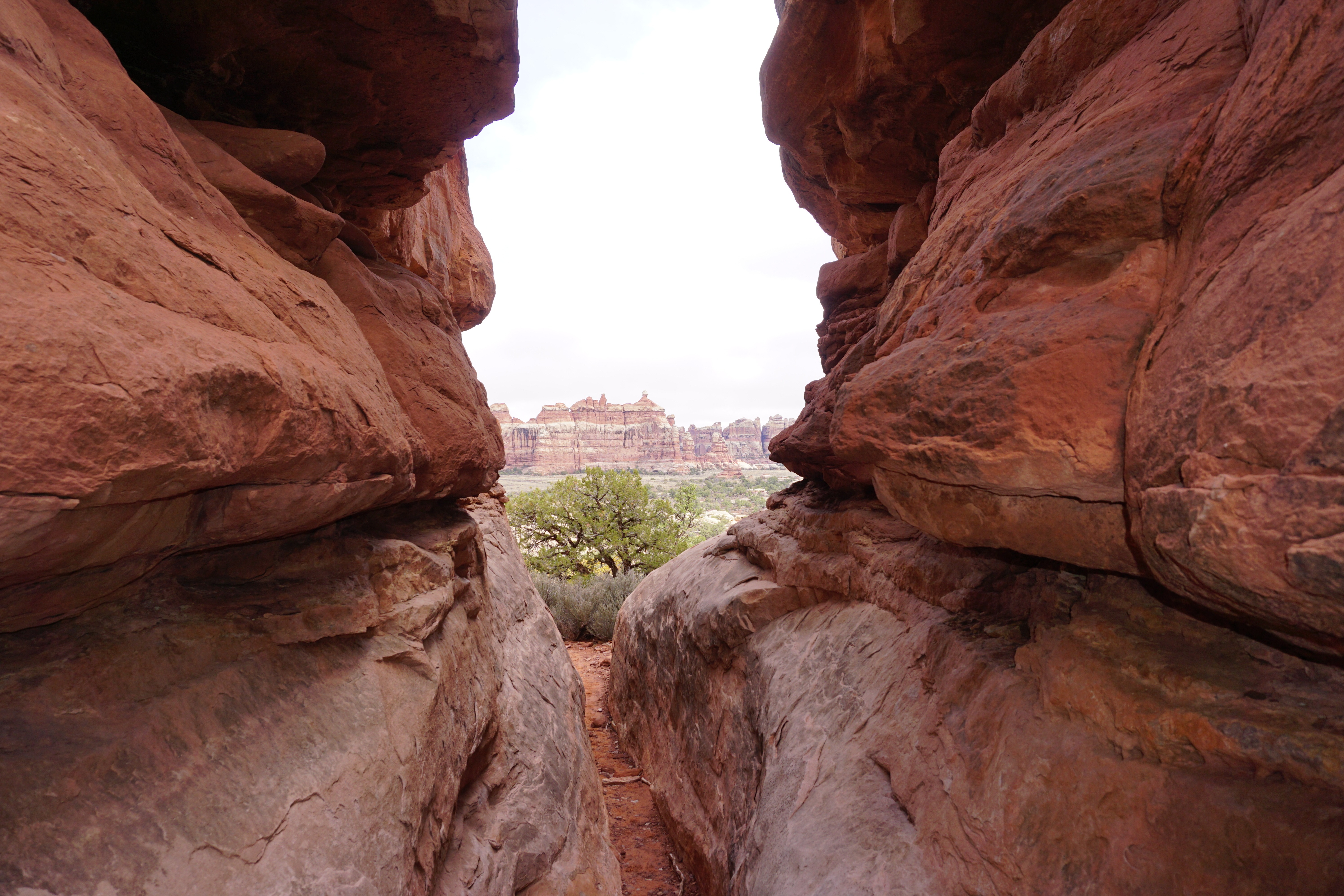 The-Needles-Canyonlands-National-Park-Utah-travel-guide