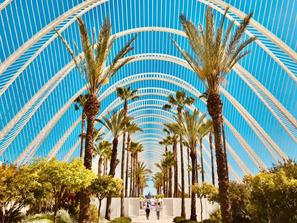 palm trees lined white arches and blue sky in valencia spain
