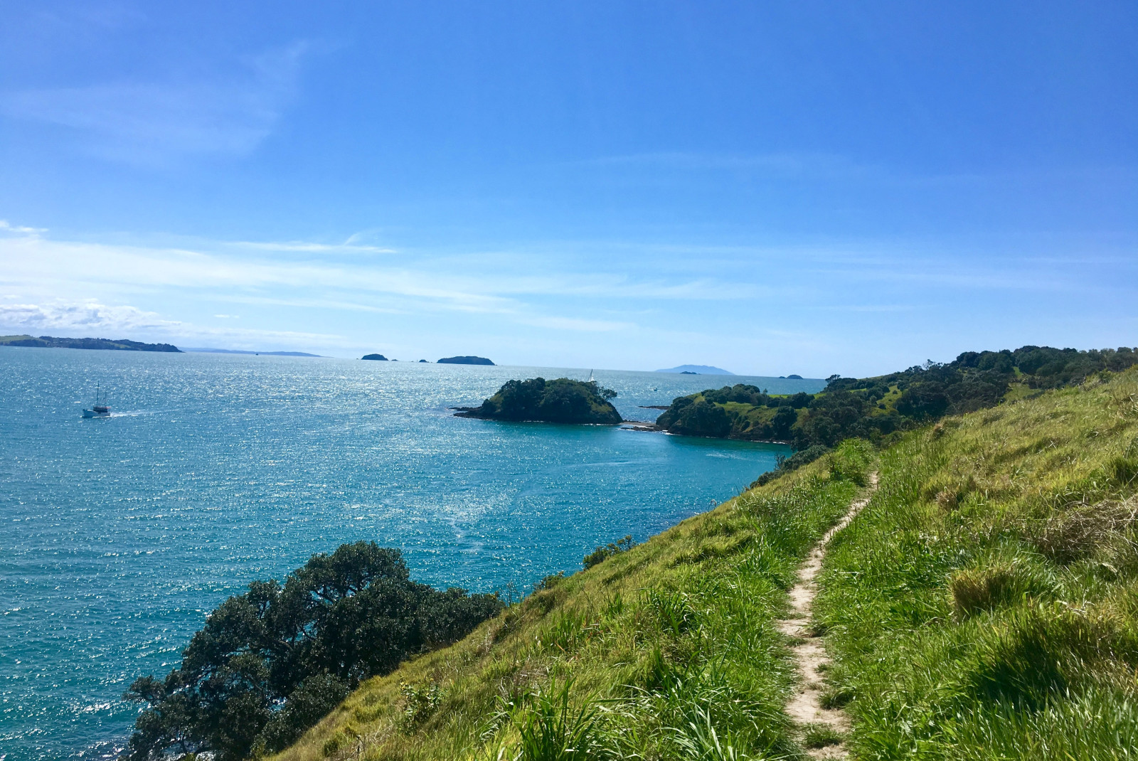 A small dirt path on a green grassy hill overlooking a blue ocean on Waiheke Island outside of Auckland, New Zealand. 