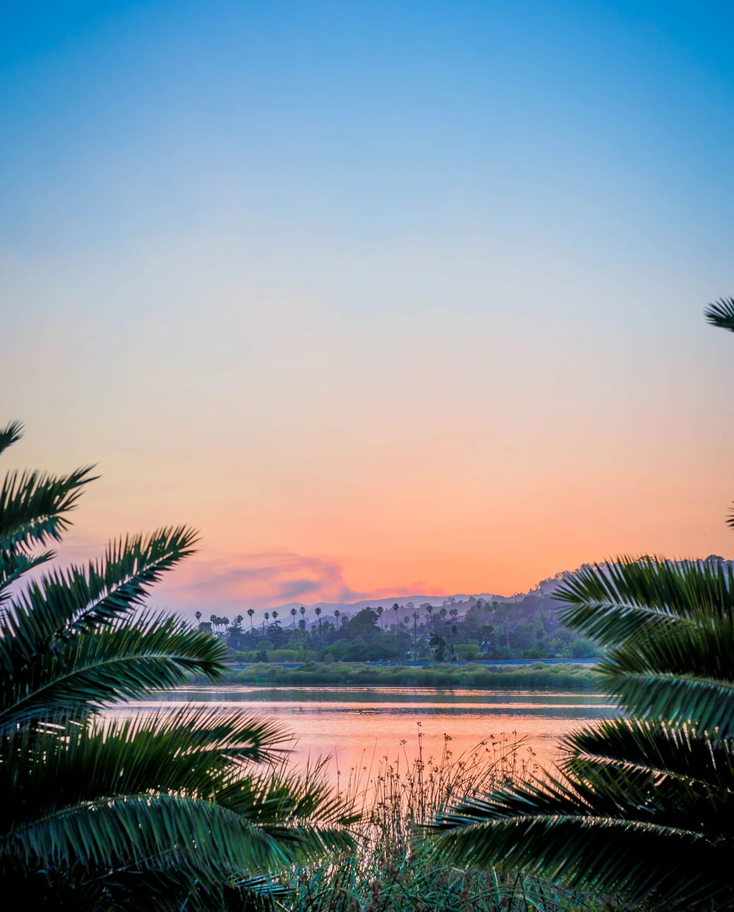 A landscape of Santa Barbara at sunrise.