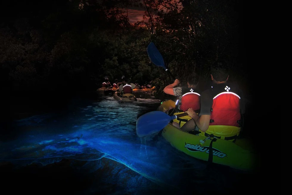 7-Day Itinerary in Puerto Rico - Day 5: Bioluminescent Bay kayaking