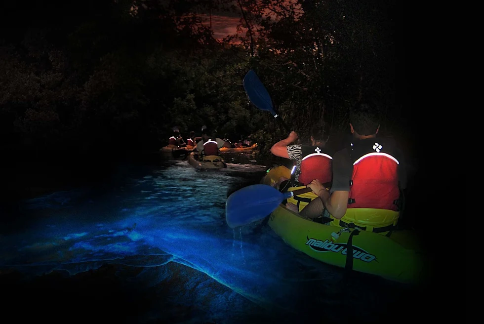 7-Day Itinerary in Puerto Rico - Day 5: Bioluminescent Bay kayaking