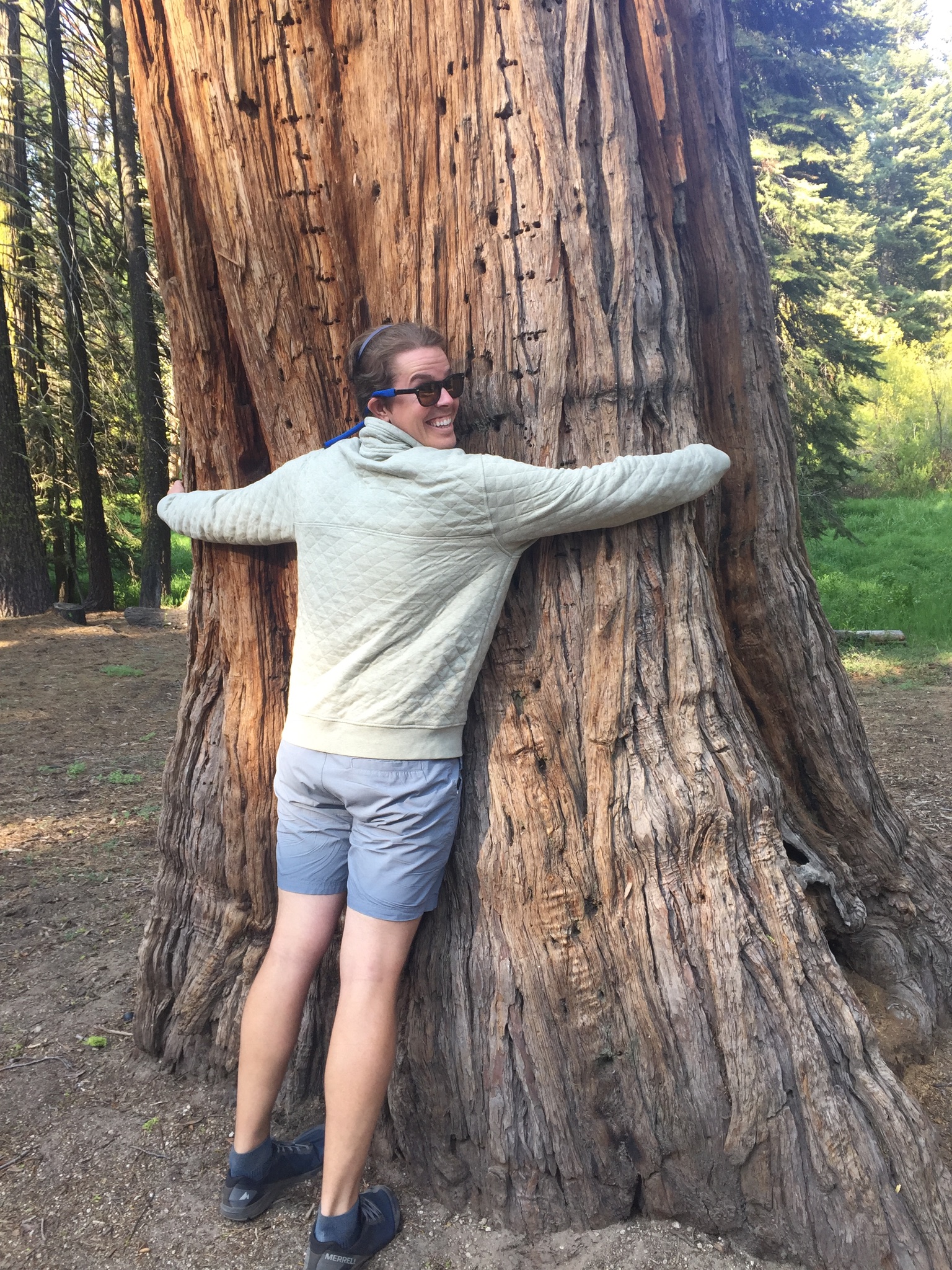 Shane Capps | Fora Travel