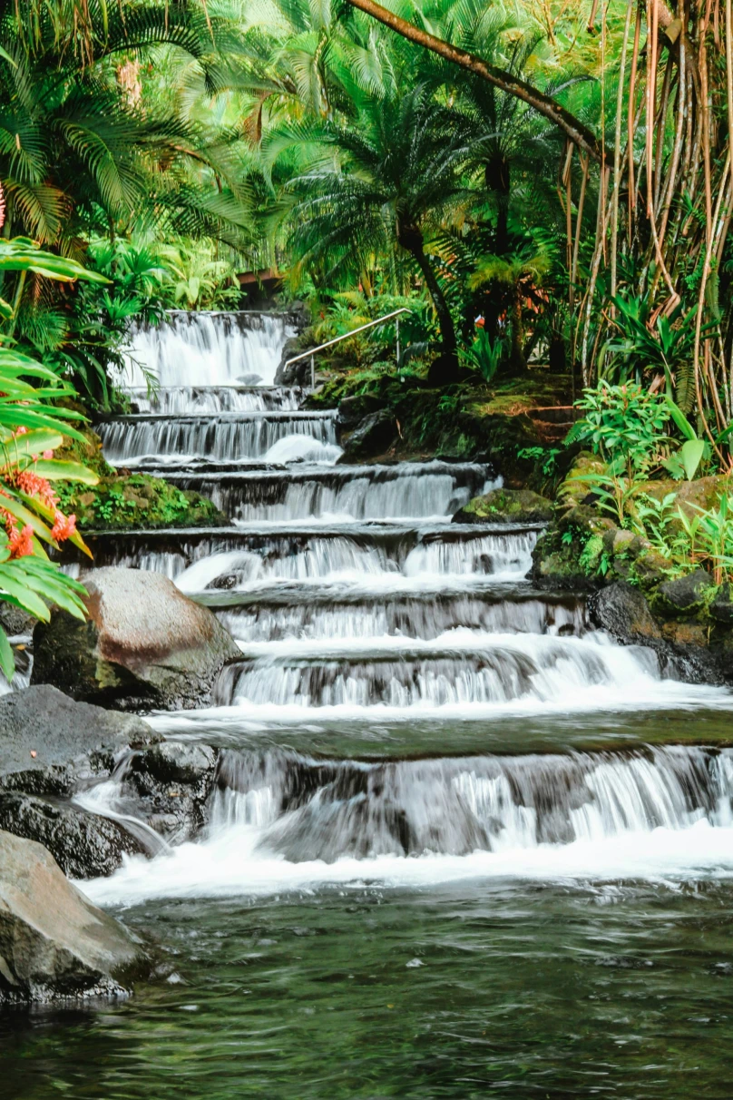 A picture of a waterfall down steps in the middle of green plants during daytime.