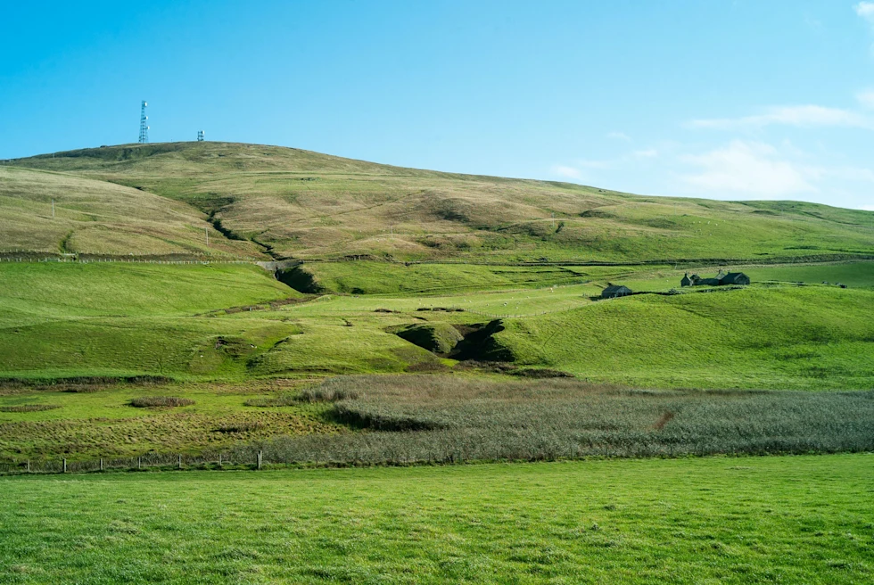green landscape during daytime