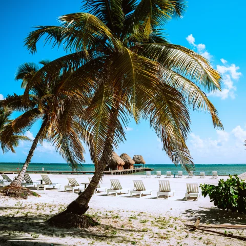 Navigating From the Rainforest to the Beach in Belize curated by Claudia Riegelhaupt