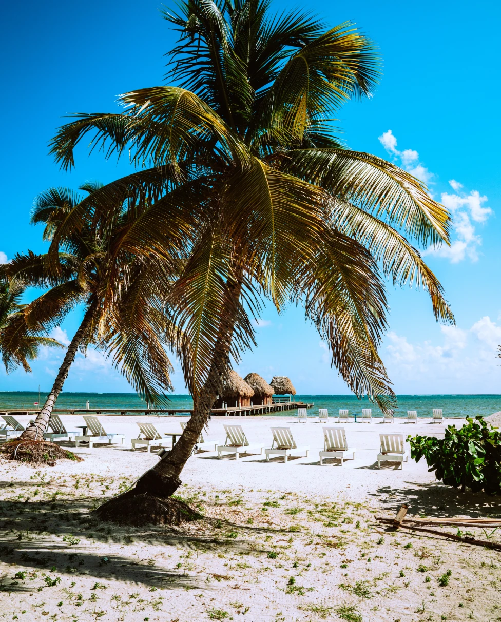 Advisor - Navigating From the Rainforest to the Beach in Belize