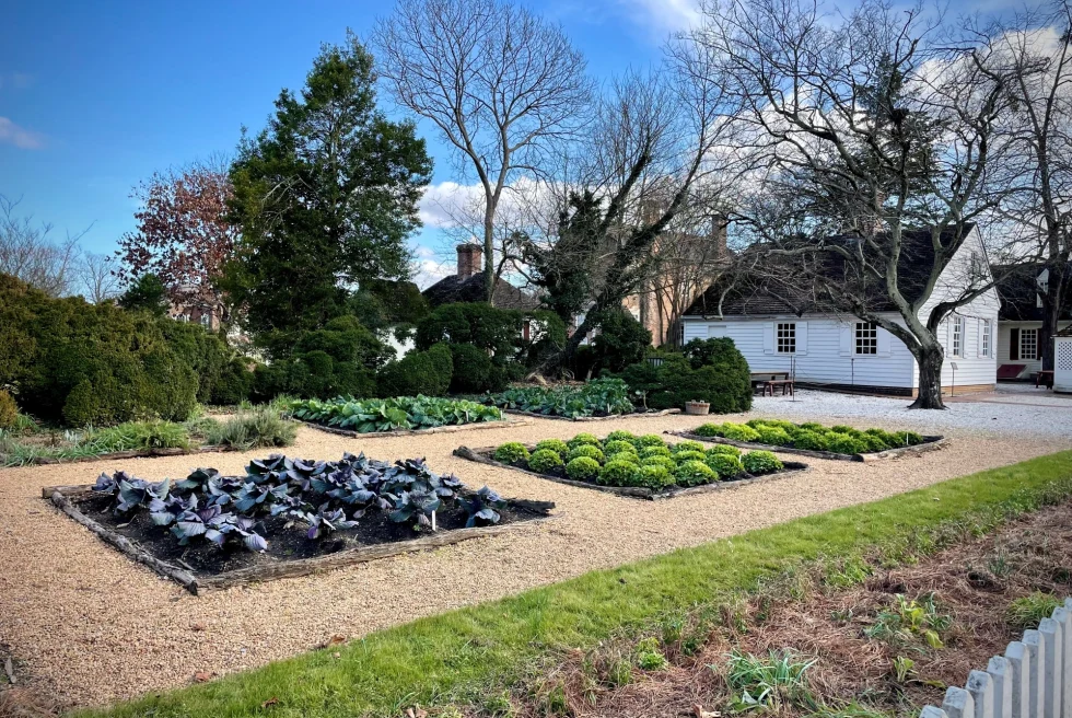 garden farm in the back of a white building