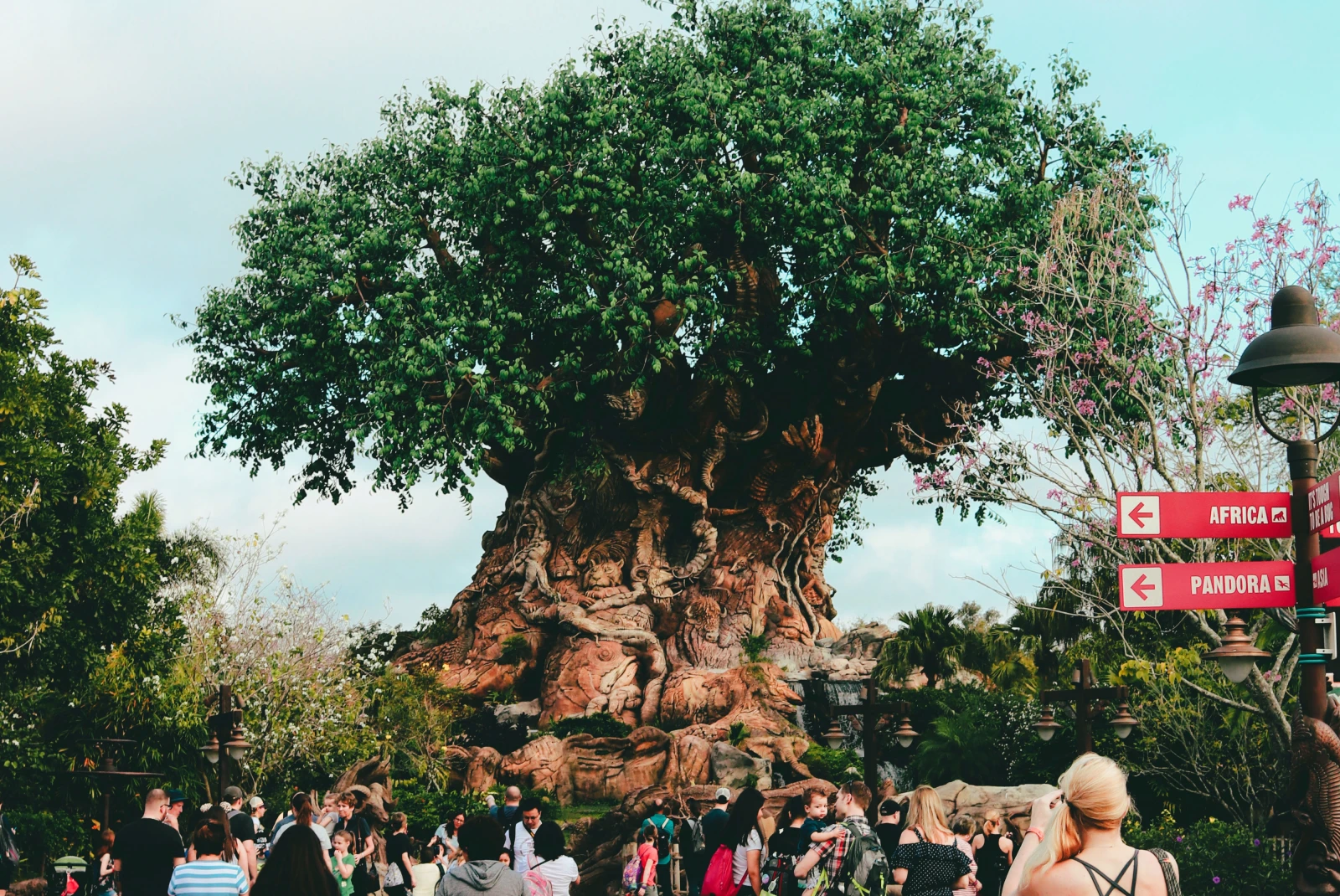 A tree in Animal Kingdom and people on the street waiting for rides. 