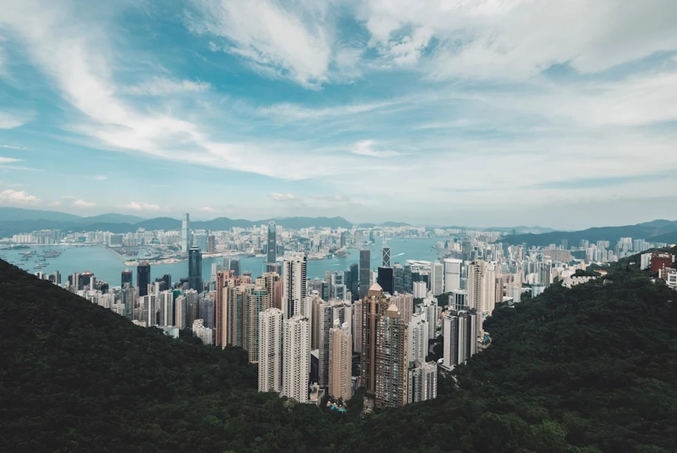 a view of a city with a river running through it from a tree filled peak