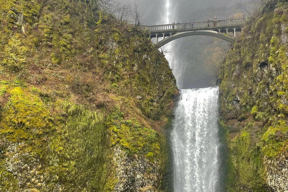 a small waterfall crashes into water below with a bridge above between two mossy rock walls