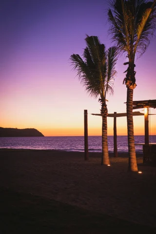 Two palm trees on the beach with a purple and yellow sunset over the water in the background.