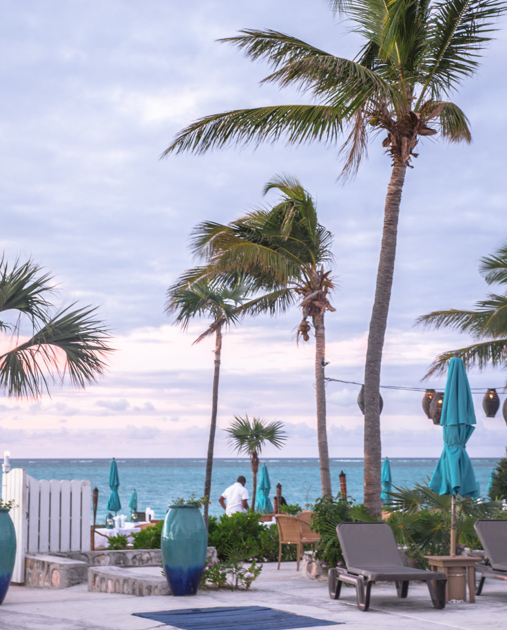 Lounge chairs and palm trees next to a body of water with clouds in the sky