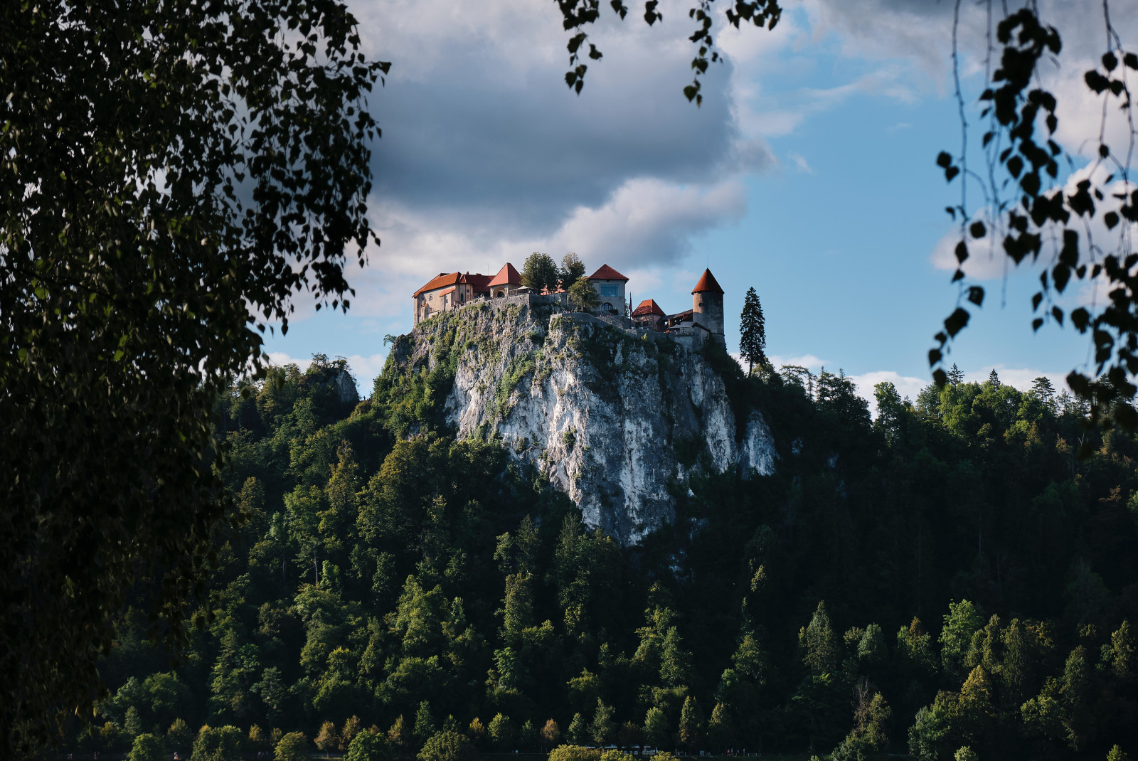 A castle perched on a hill and surrounded by vegetation in Slovenia. 