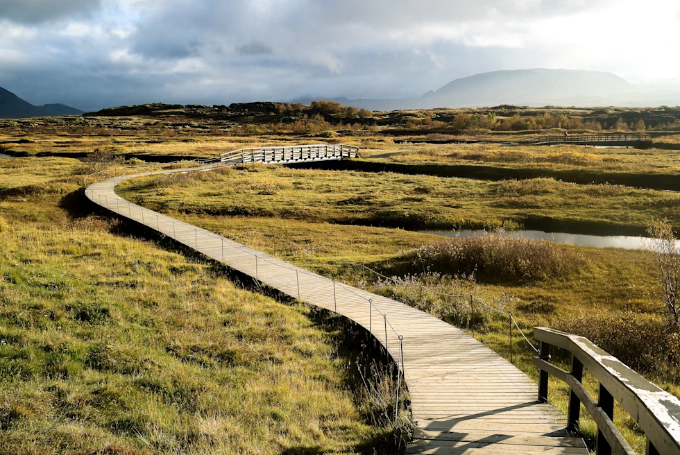 Wooden boardwalk surrounded by green grass in Thingvellir National Park, Iceland