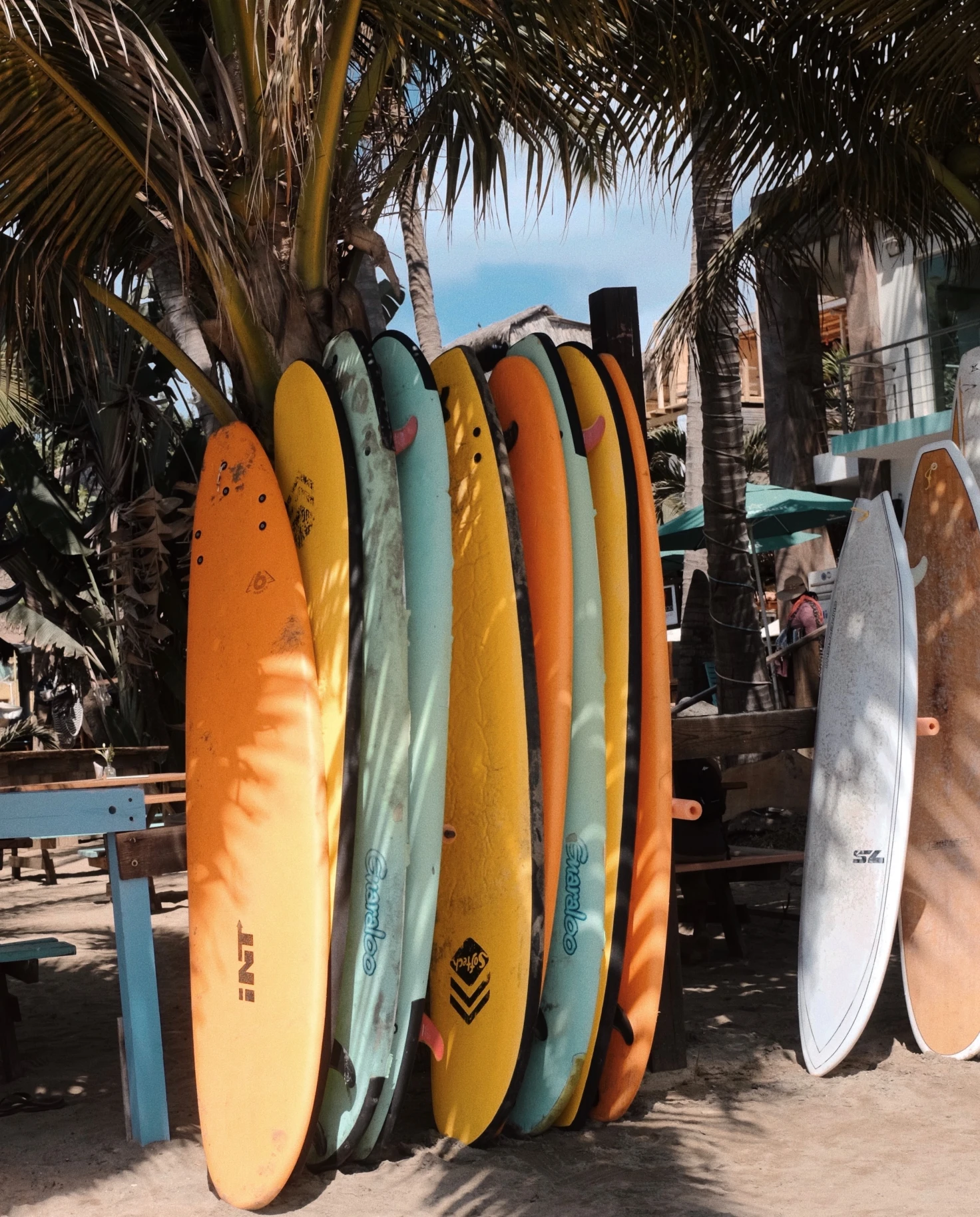 Colorful surfboards leaning against a palm tree in Sayulita. 