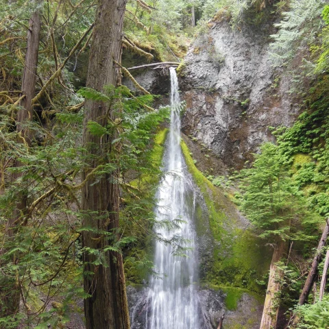 Falls in Olympic National Park