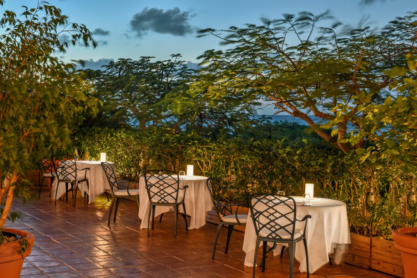 tables with white table cloths surrounded by trees during sunset