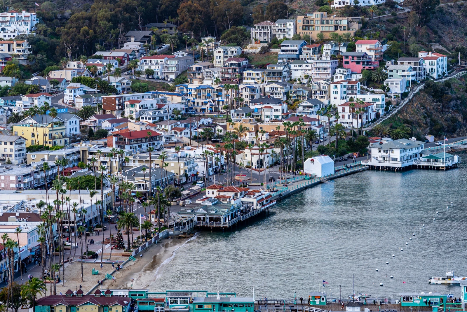The coast of Santa Catalina with colorful houses and a dock. 