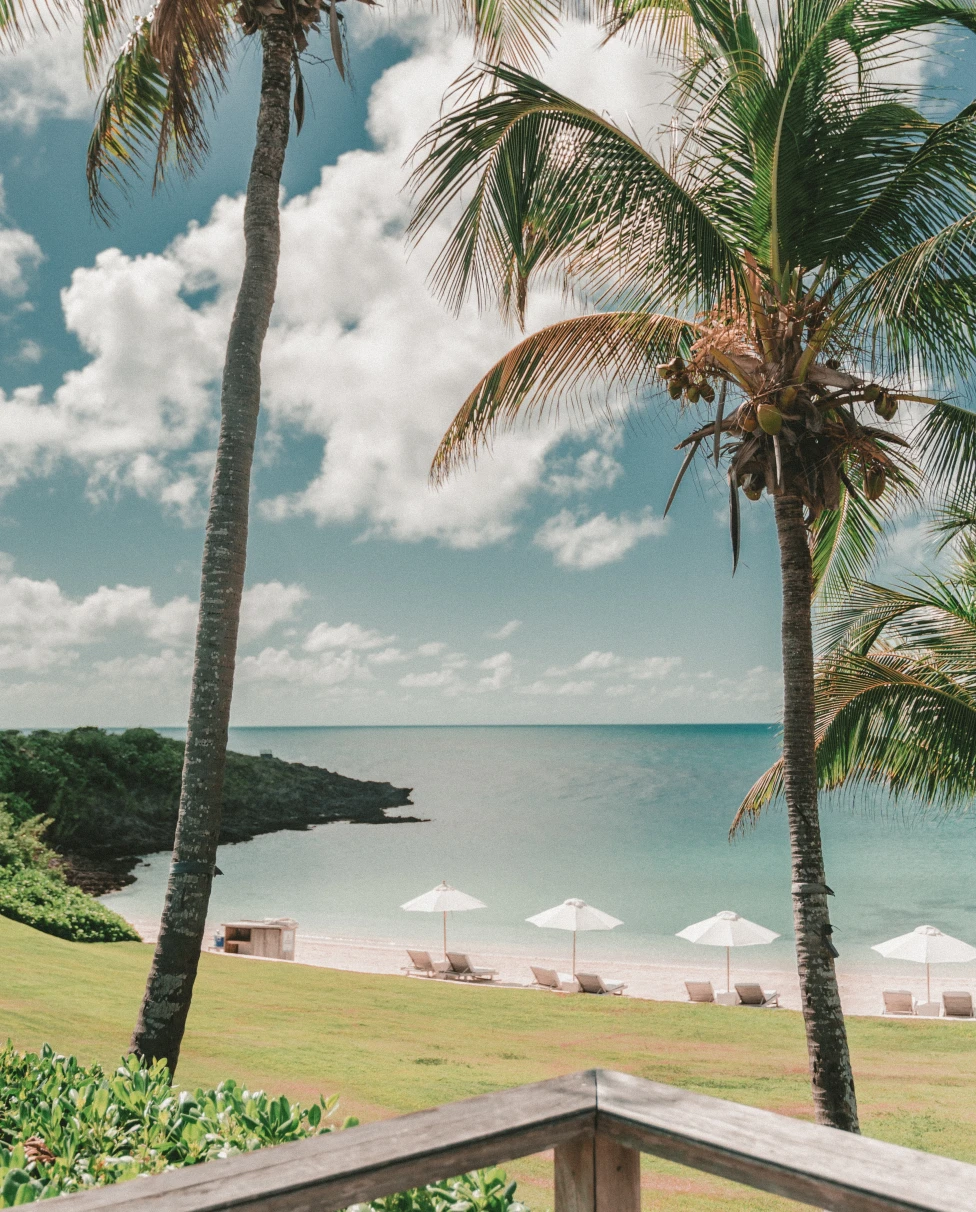 A view on the palm trees and ocean on Eleuthera Island in the Bahamas