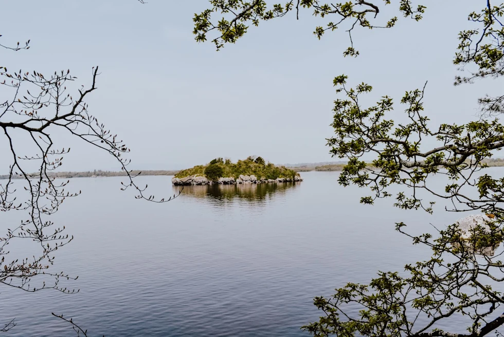 quiet lake with mist
