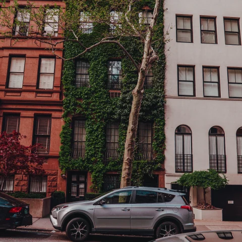 A brownstone building with ivy. 