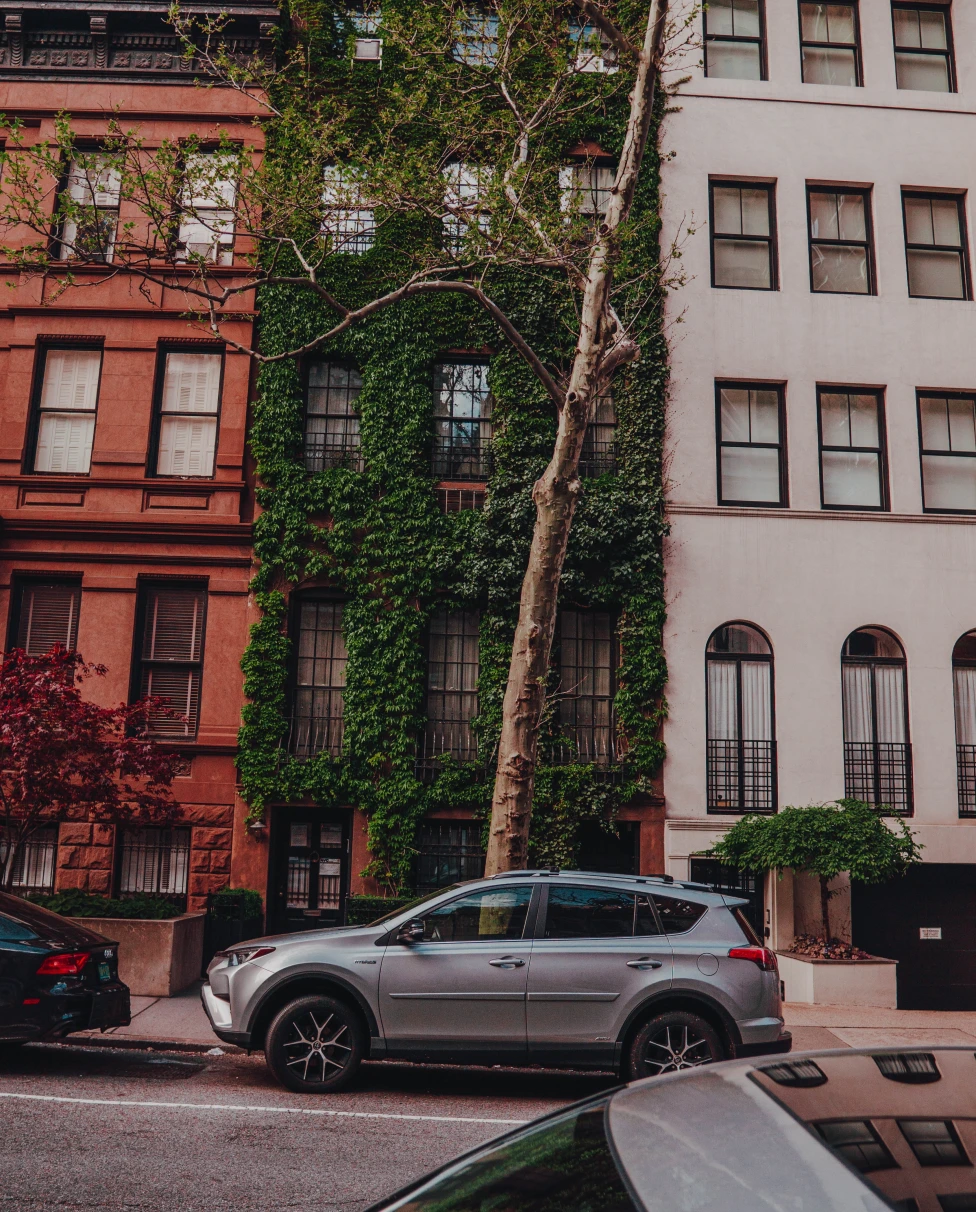 A brownstone building with ivy. 