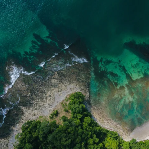 View from above of a beach in Samana, Cost Rica. 