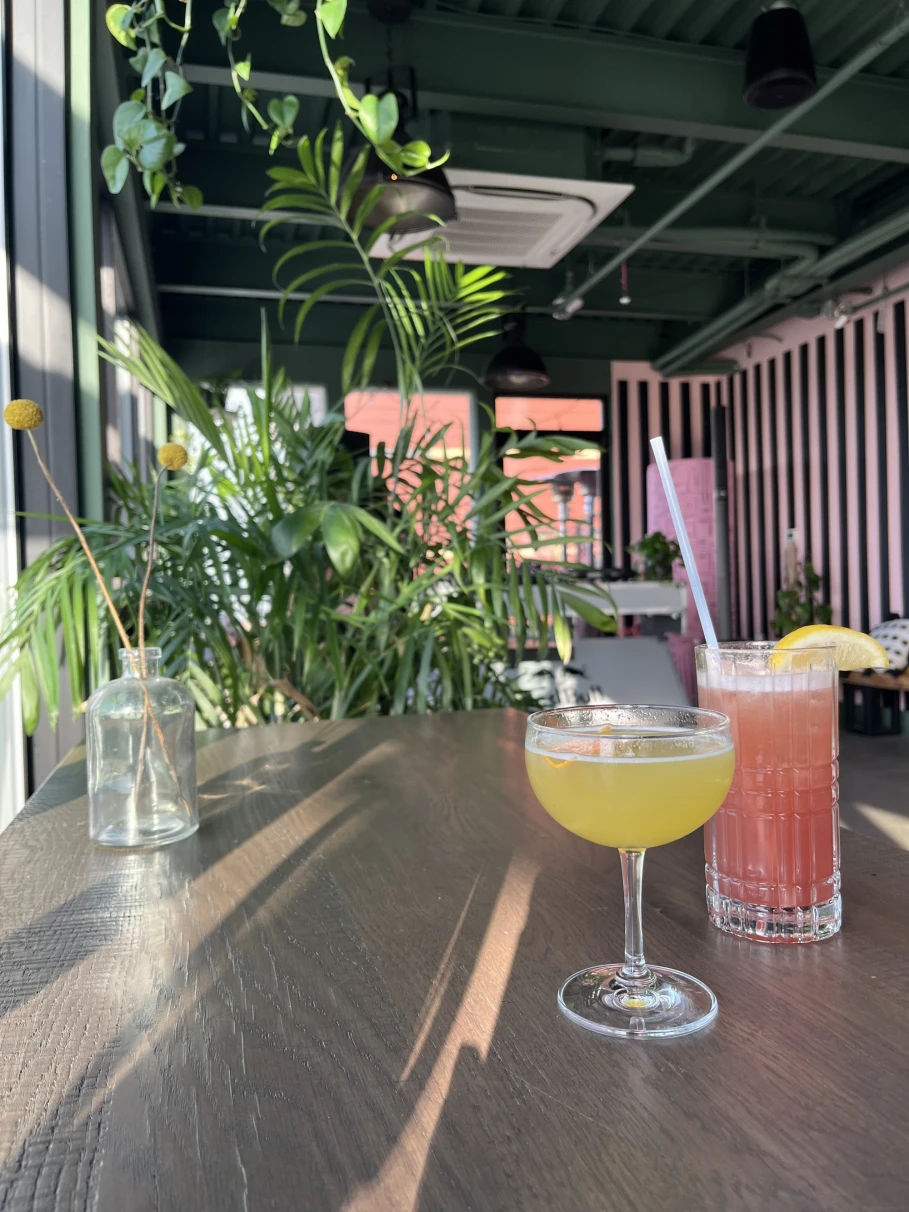 a yellow and pink cocktail on a table at a bar with tropical potted plants