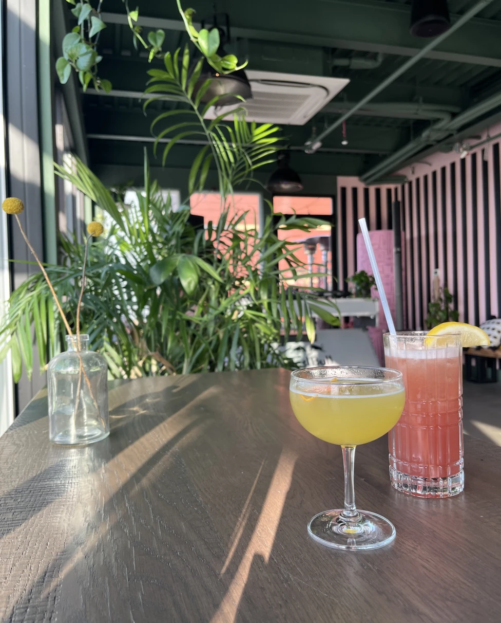 a yellow and pink cocktail on a table at a bar with tropical potted plants
