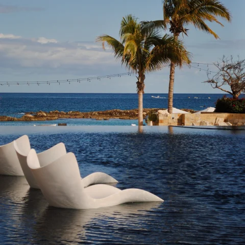 chairs in water with a palm tree in the background during daytime