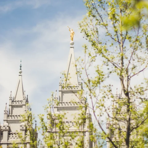white steeples seen through green branches