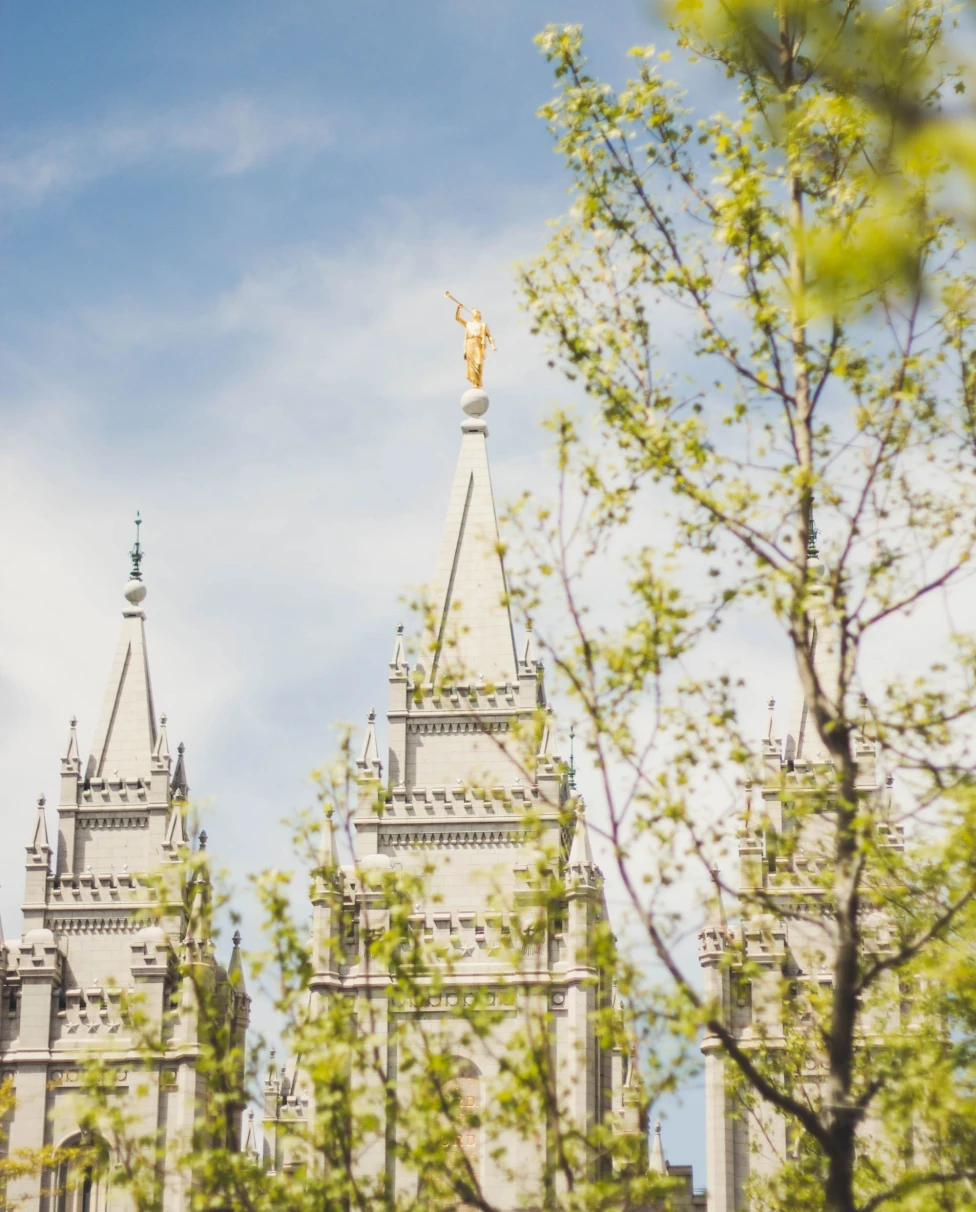 white steeples seen through green branches