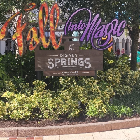 Visit Disney Springs to explore a charming waterside dining, shopping and entertainment.
