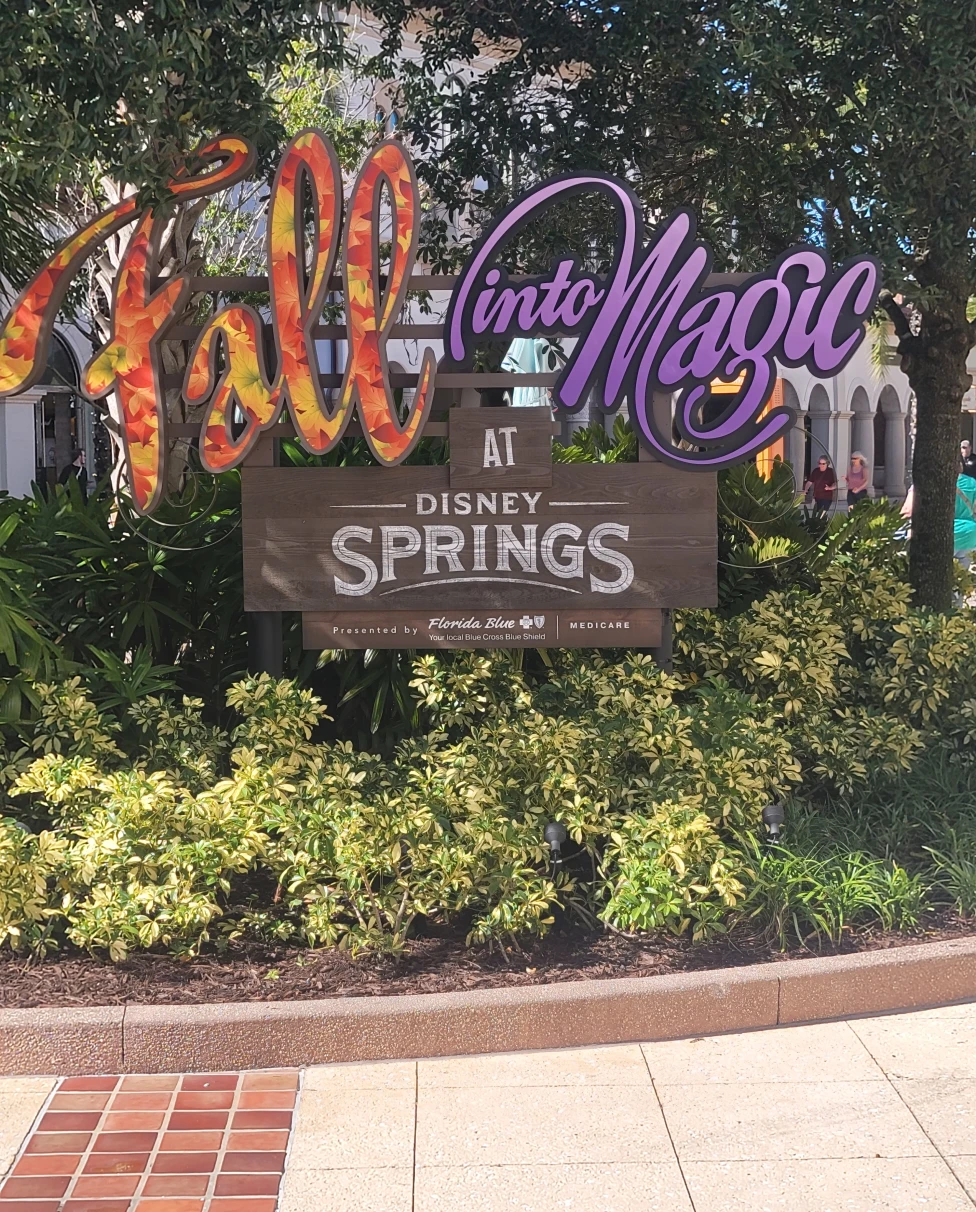 Visit Disney Springs to explore a charming waterside dining, shopping and entertainment.