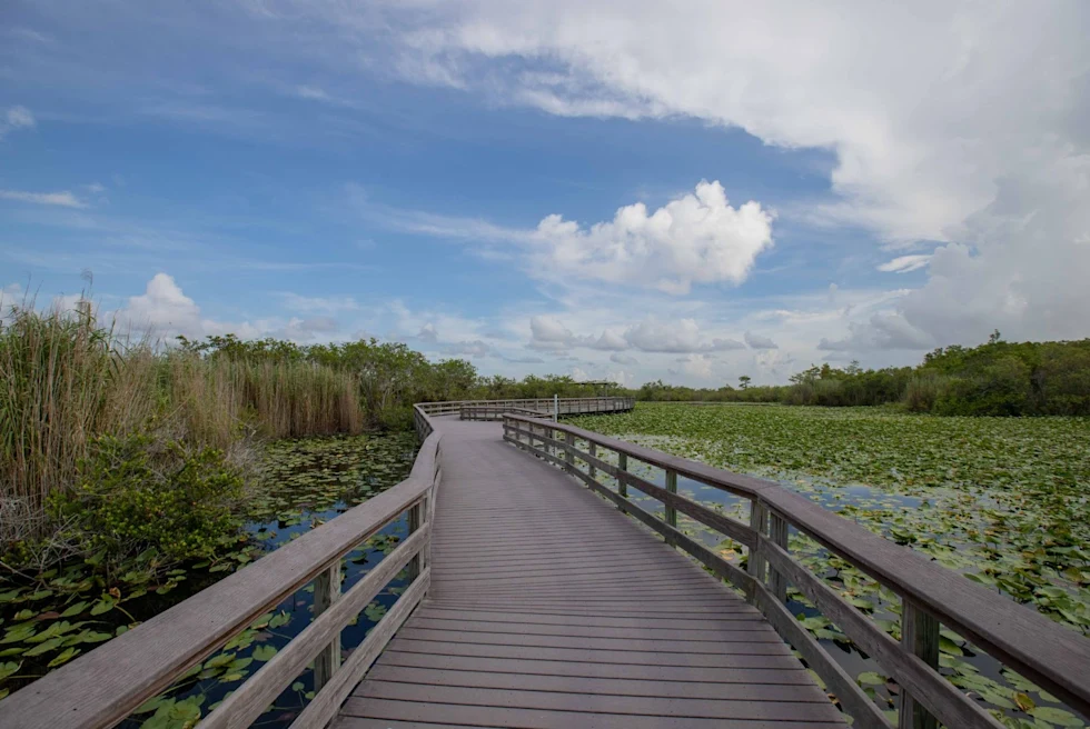 Trail at the Everglades National Park, a sprawling subtropical wilderness in Florida.