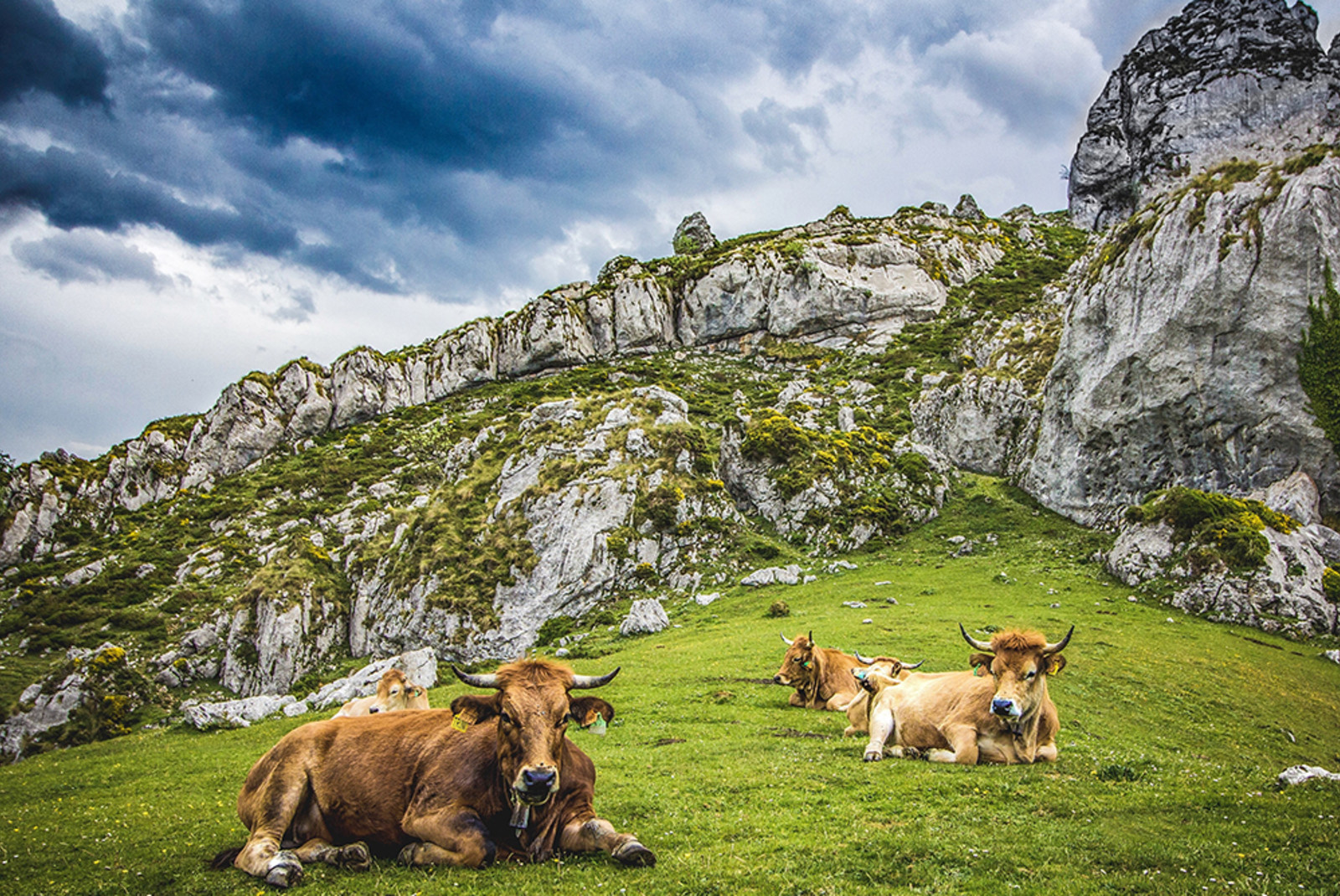 The Perfect 7-Day Itinerary for Asturias, Spain - Day 7: Trekking Funete Dé