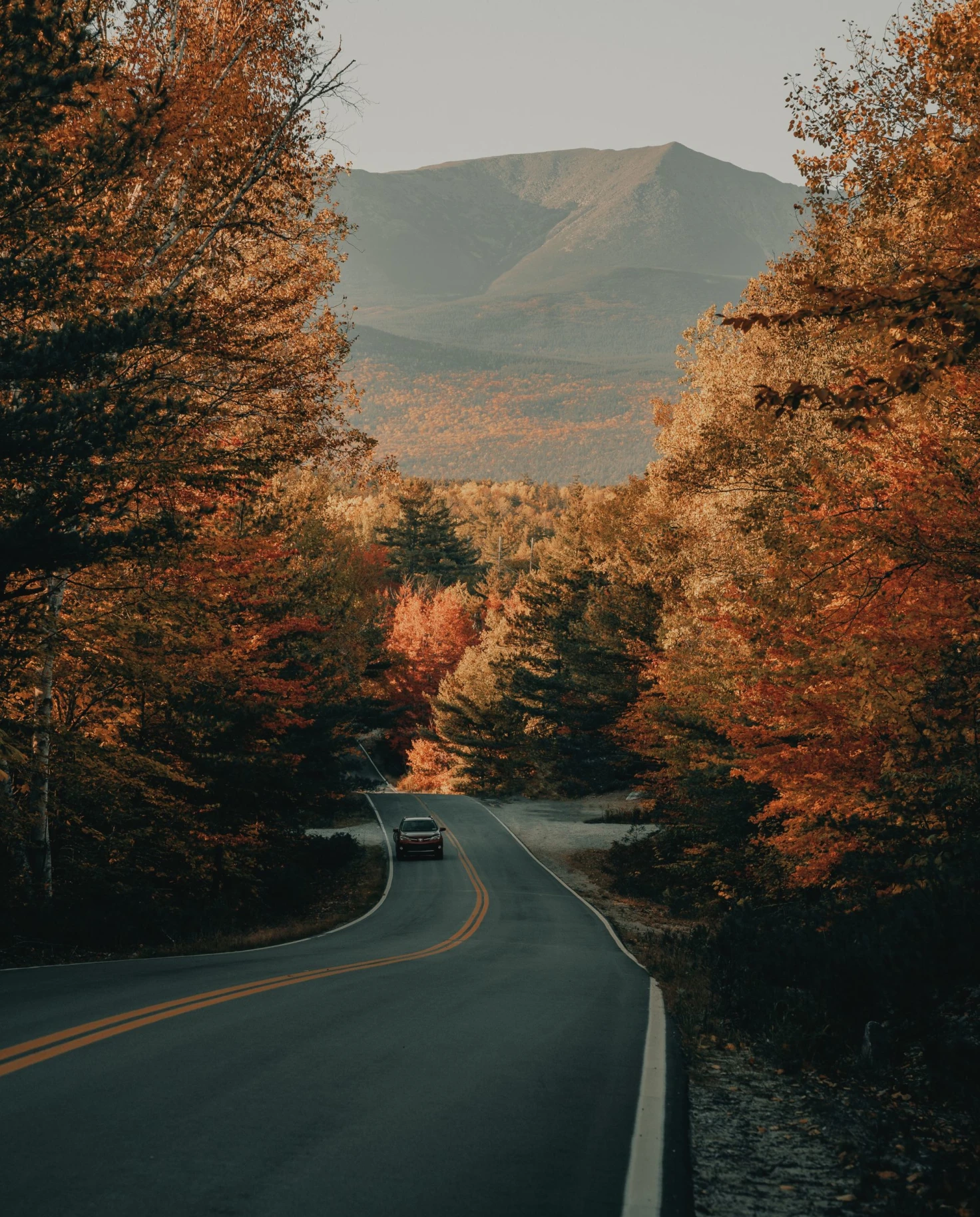 road through fall foliage