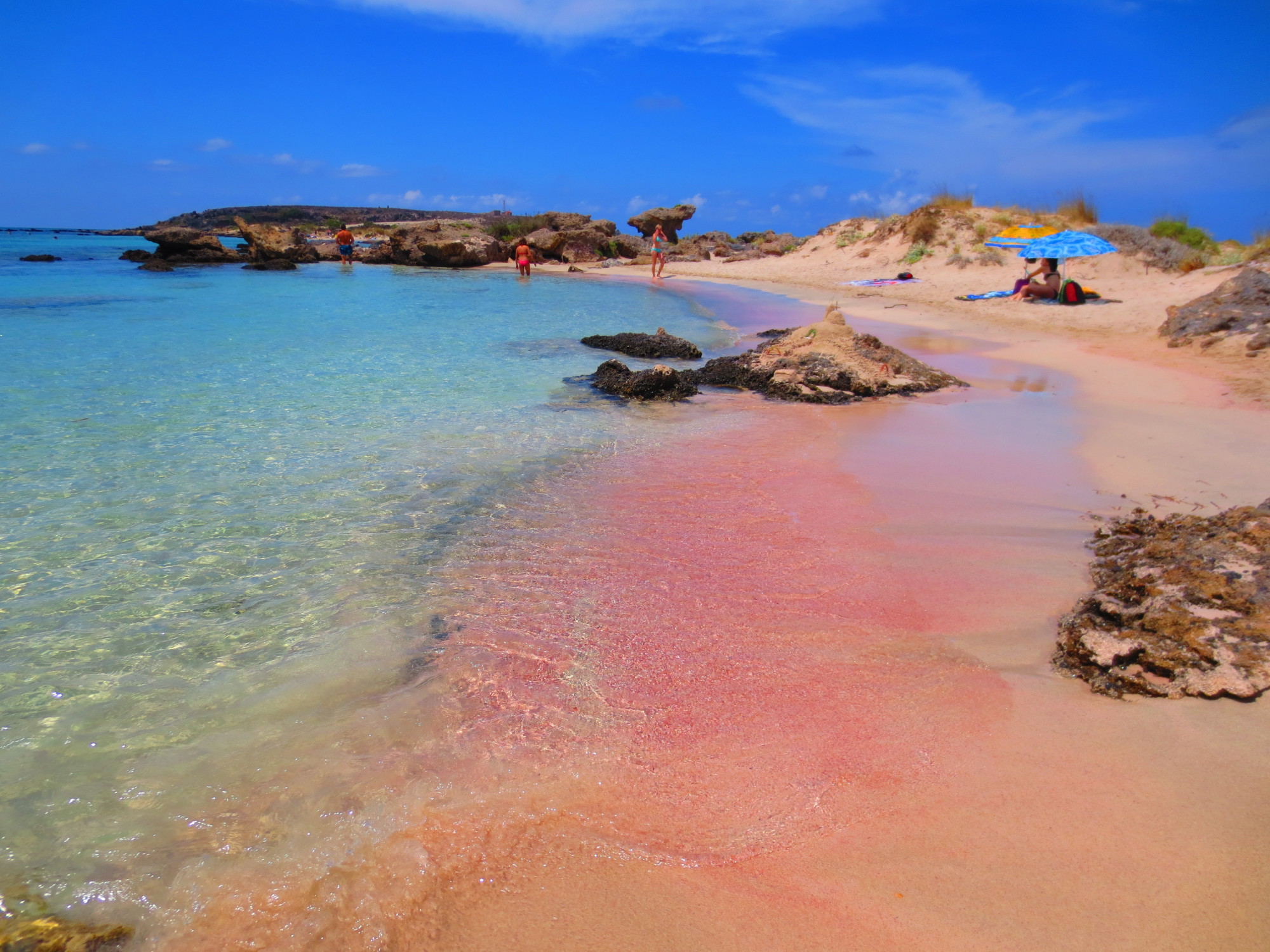 beach with pink sand and clear blue waters with rocky jetty