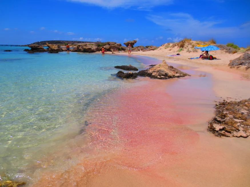 beach with pink sand and clear blue waters with rocky jetty