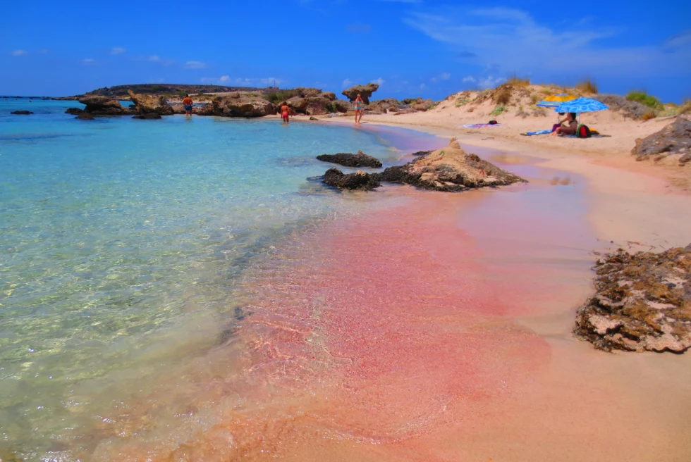 beach with pink sand and clear blue waters with rocky jetty