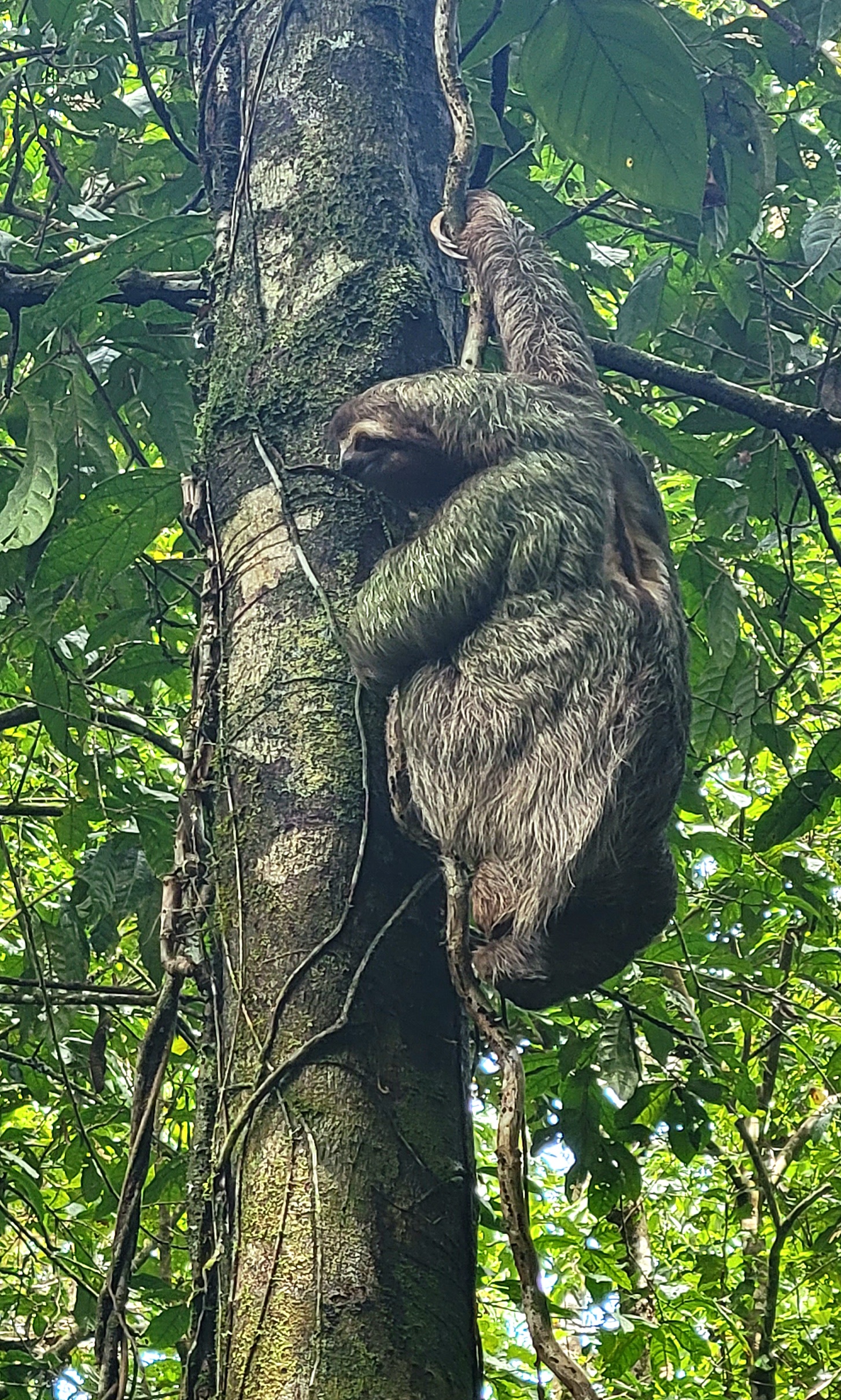 Manuel Antonio National Park: Ultimate Guide to a Day in Paradise ...