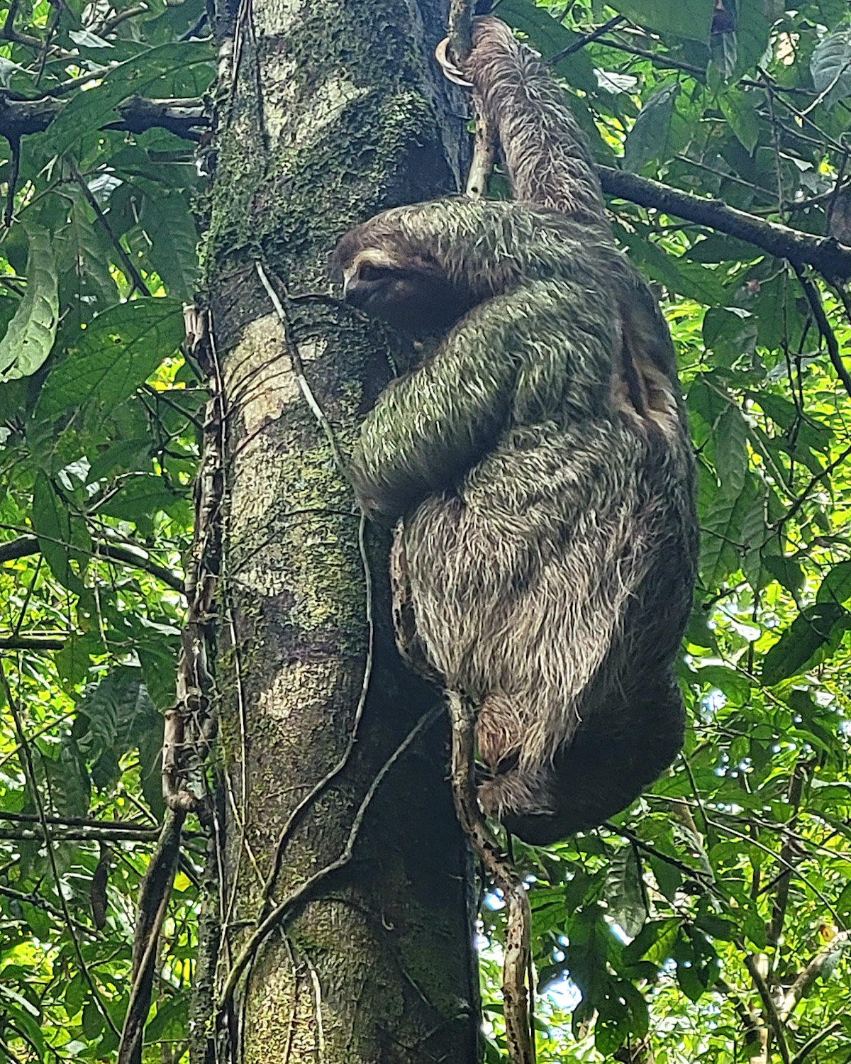 Manuel Antonio National Park: Ultimate Guide to a Day in Paradise ...