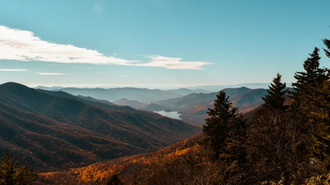 A view of Blue Ridge Parkway in Asheville – golden mountains with trees and a blue sky