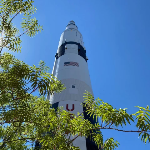 rocket points to the blue sky covered by tree branches