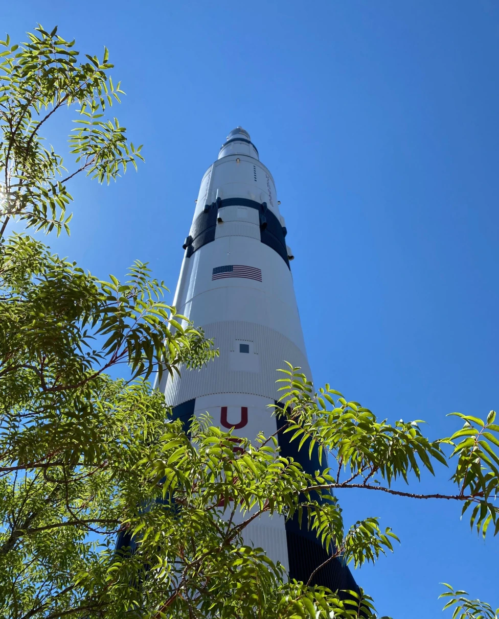 rocket points to the blue sky covered by tree branches